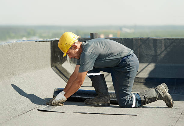 Best Spray Foam Insulation in Zelienople, PA